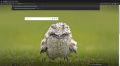 Step1 Creating page using url.jpg